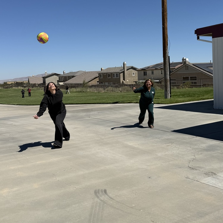 Volleyball