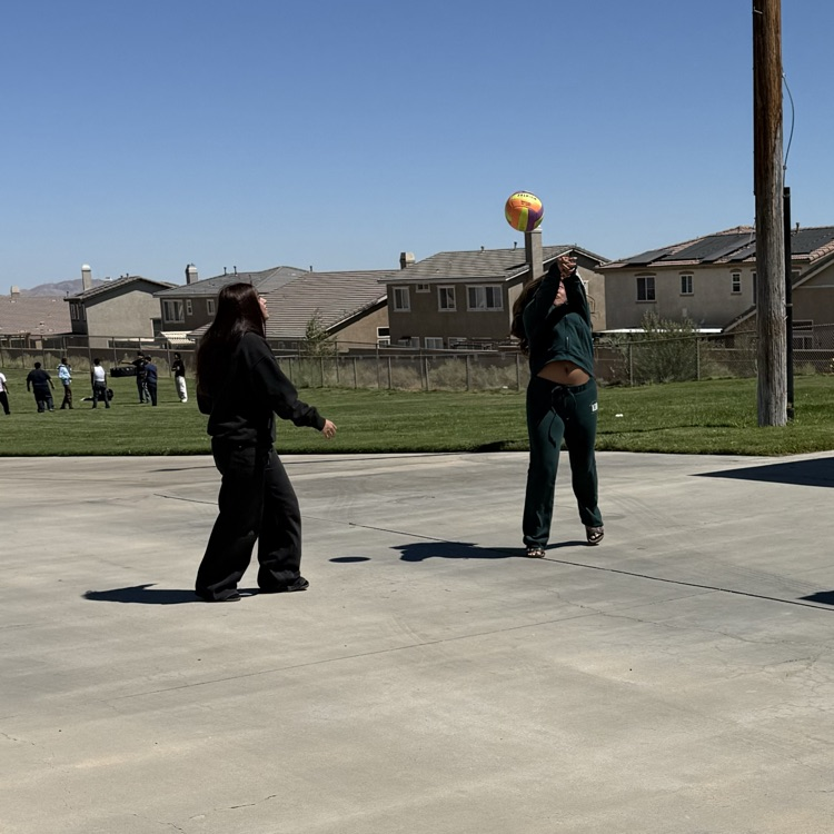 Volleyball