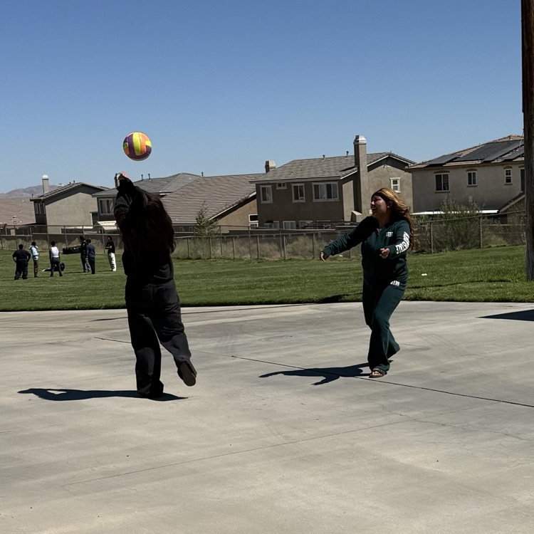 Volleyball