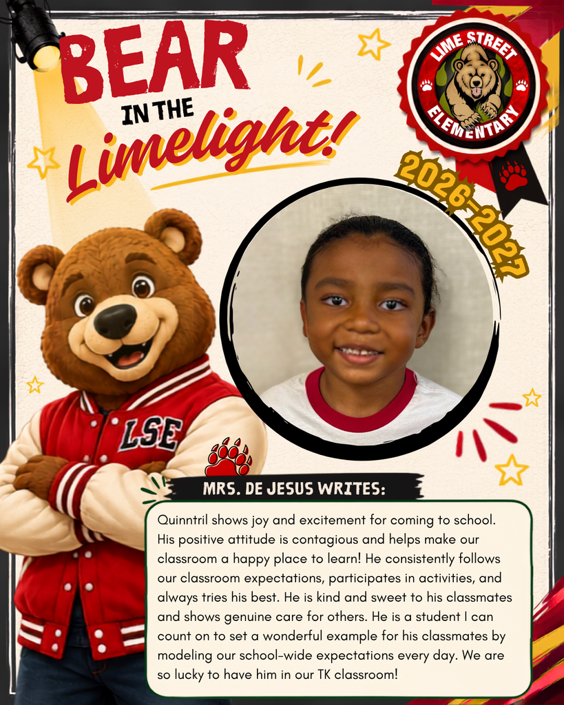 Bear in the Limelight Quinntril English