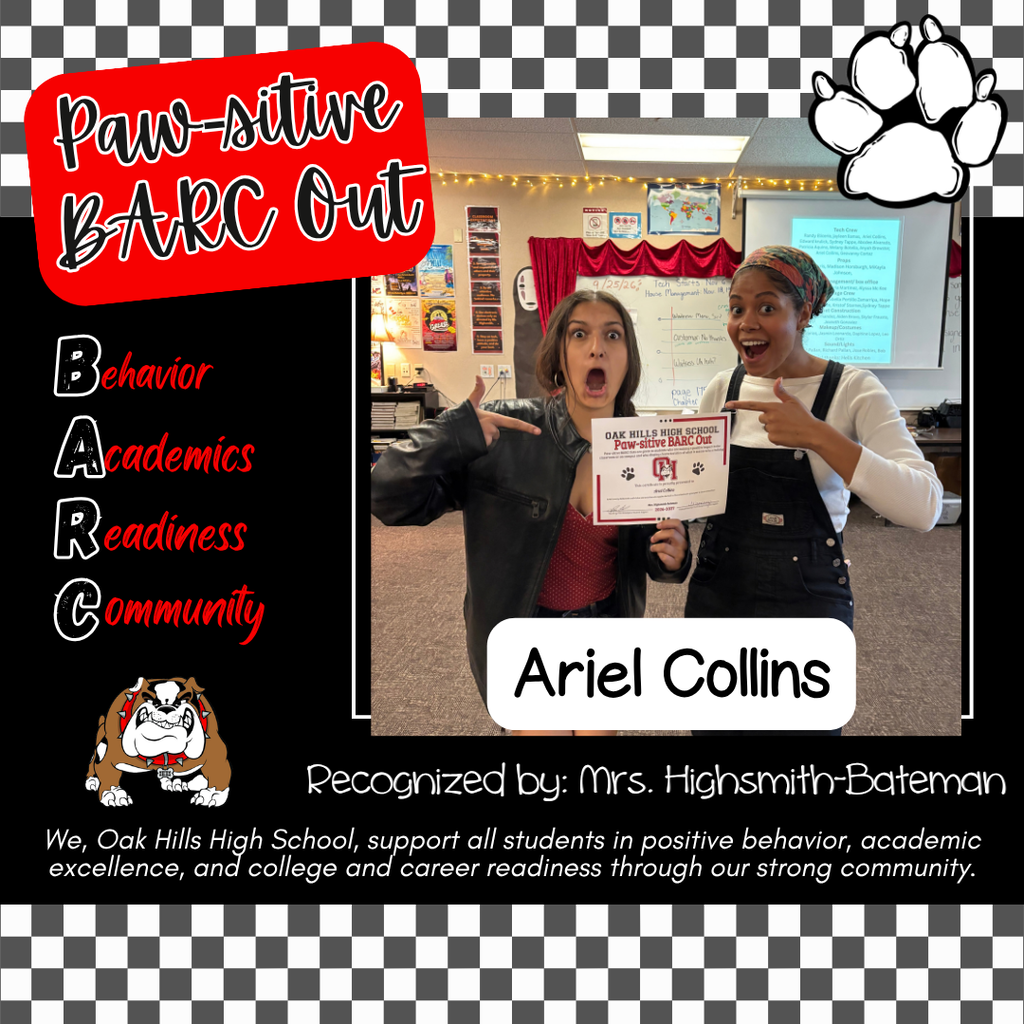 Barc out #4