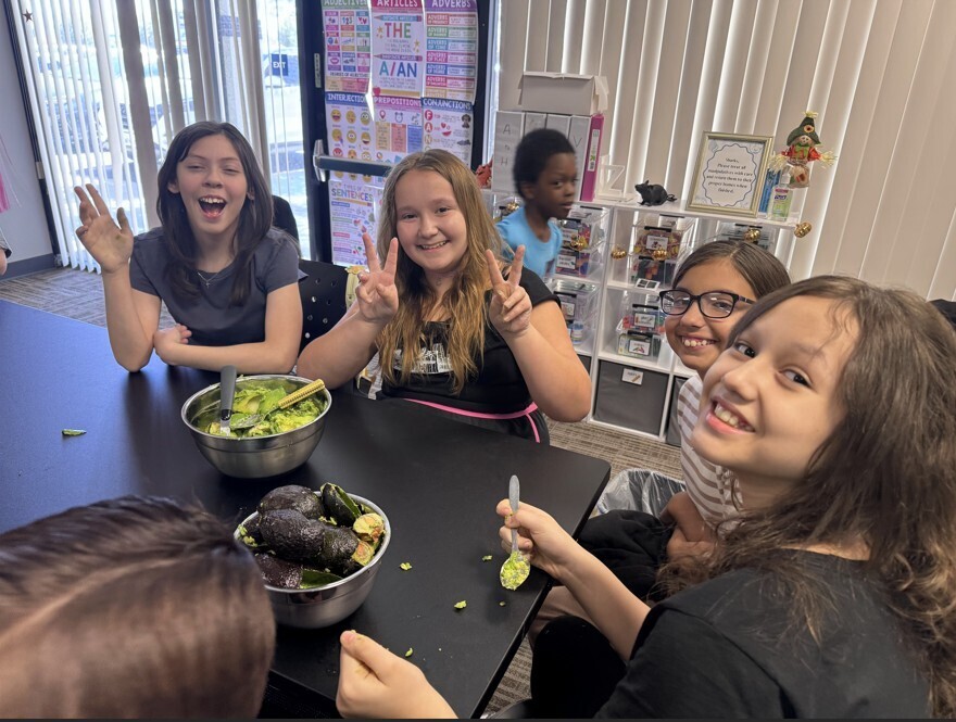 Elementary Shark Social  