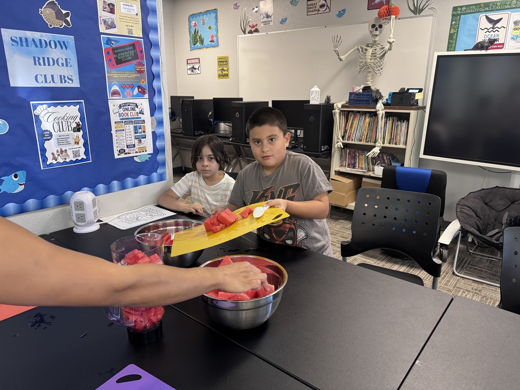 Elementary Shark Social 
