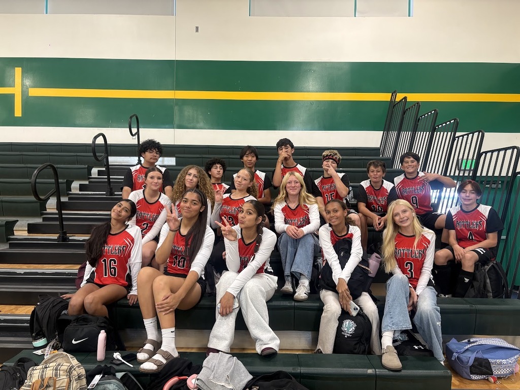 Volleyball team