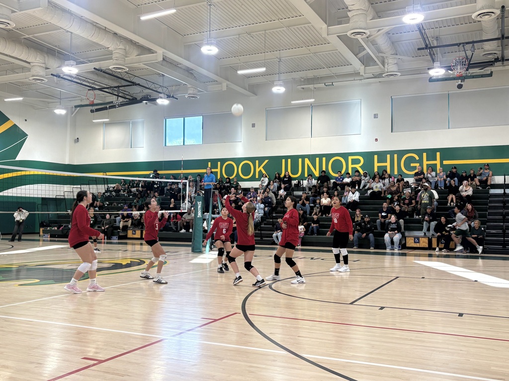 Volleyball Game