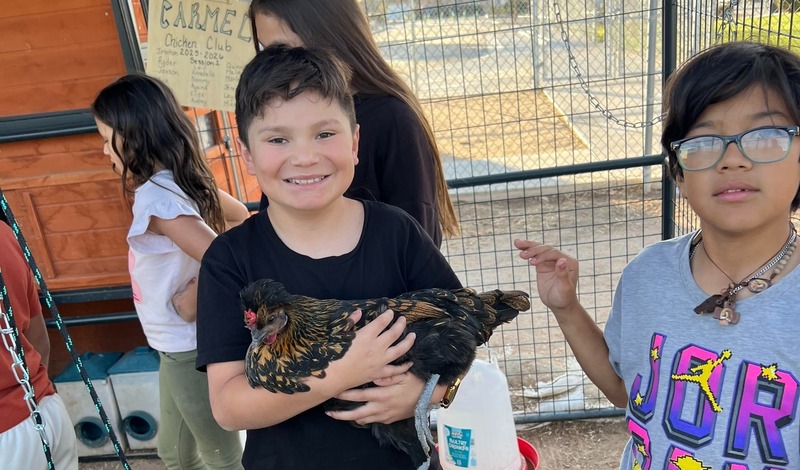 Child smiling and holding a chicken