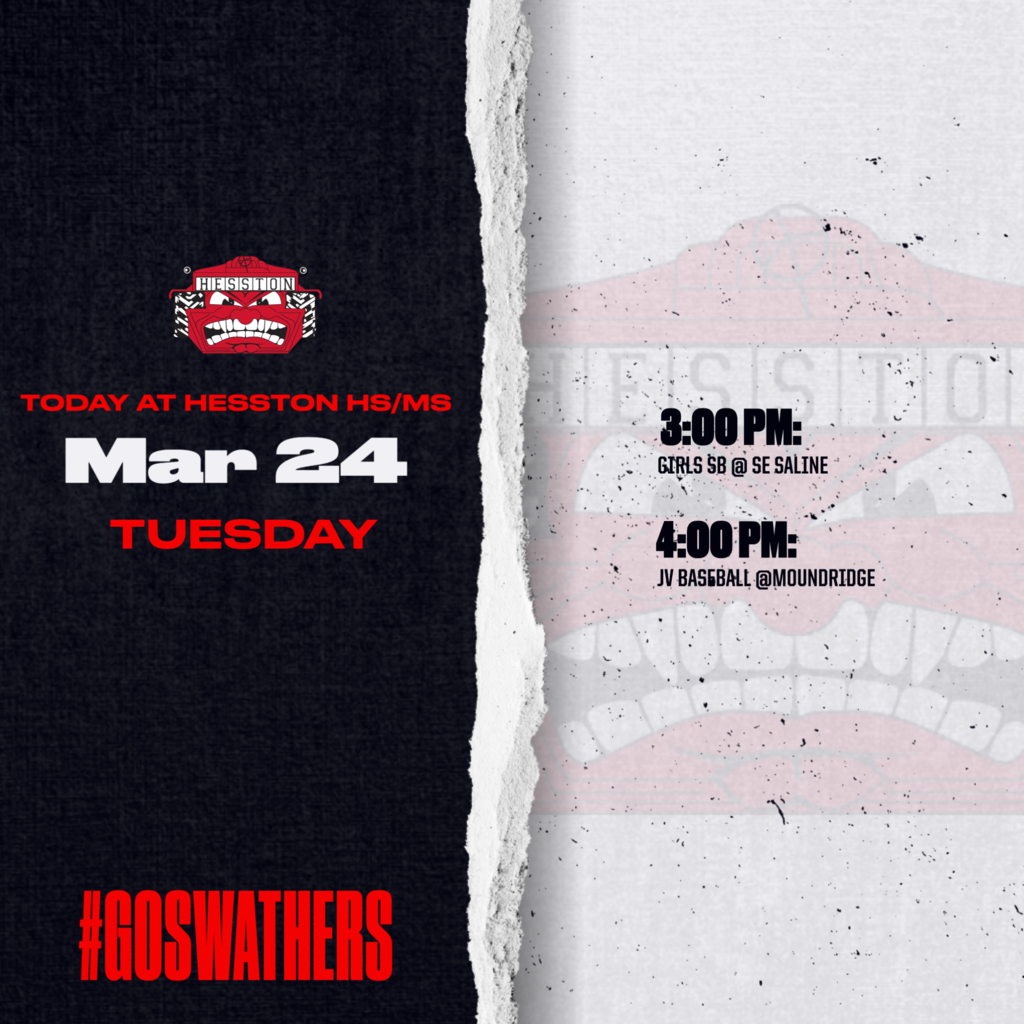 DAILY SPRING 2024 9553556