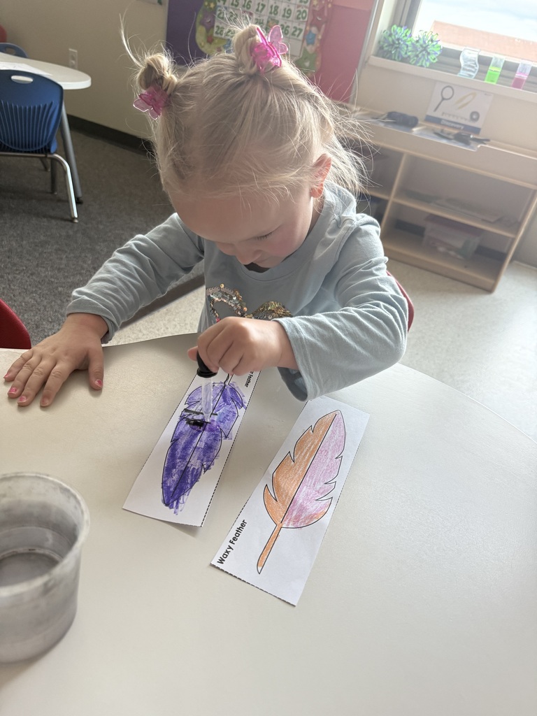 Preschoolers Learn about Penguins