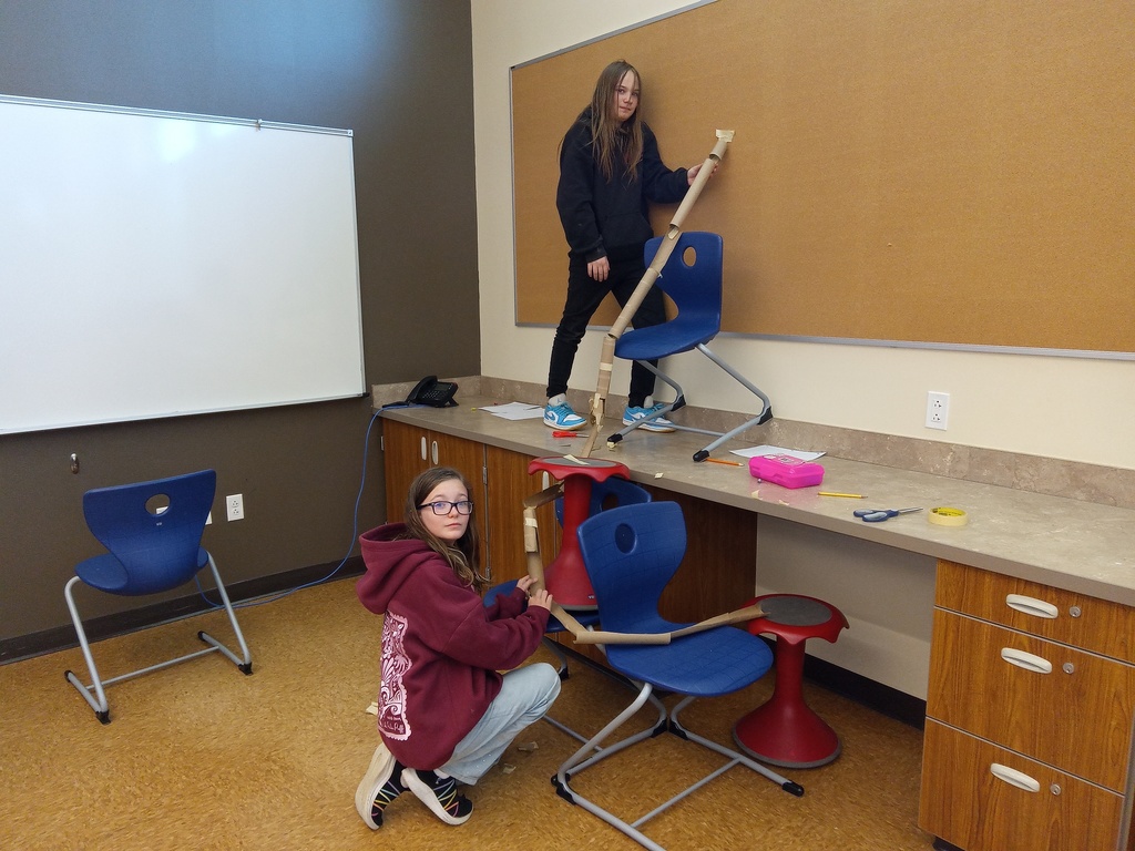 5th Grade STEM Project