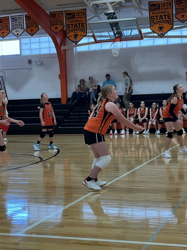 Aubry Mills JH VB 8/21 vs CW