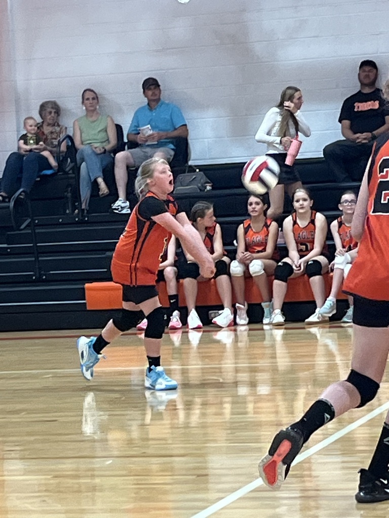 Aubry Mills JH VB 8/21 vs CW