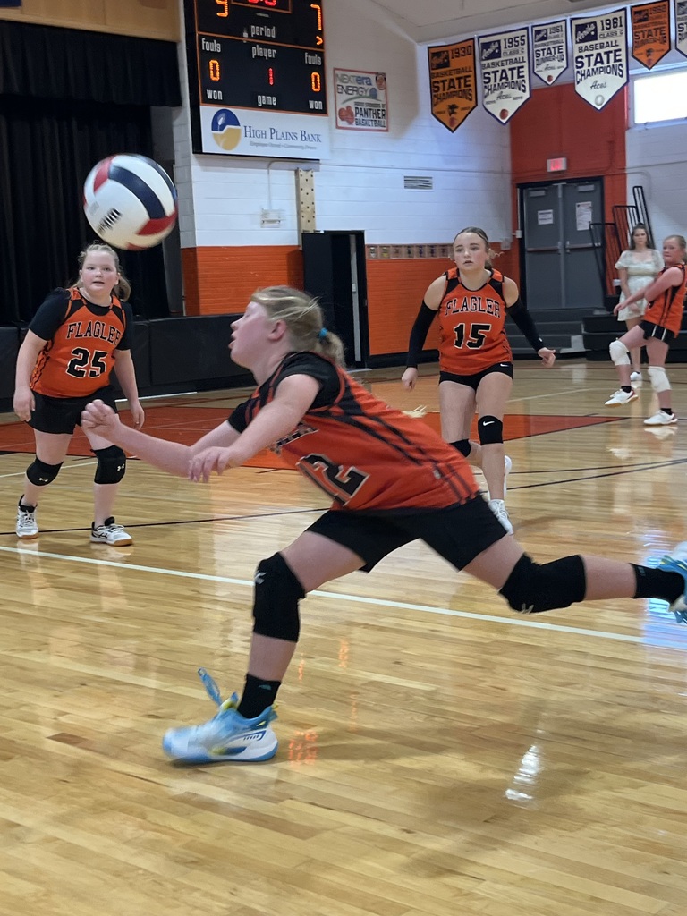 Aubry Mills JH VB vs CW