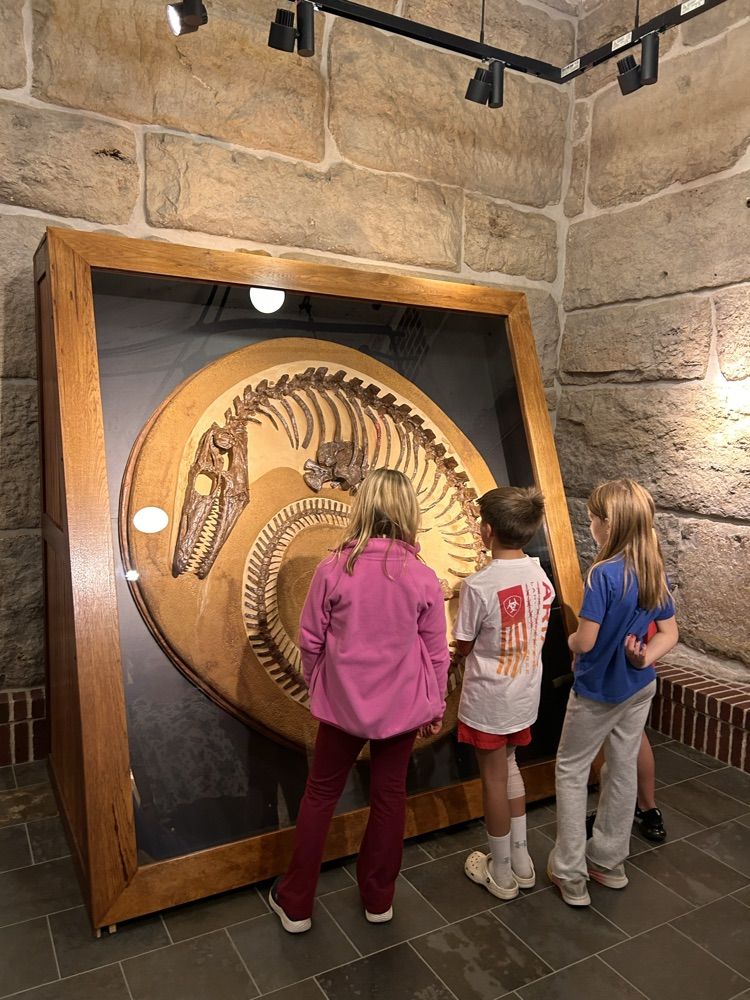 3rd graders enjoying their field trip to the State Capitol!