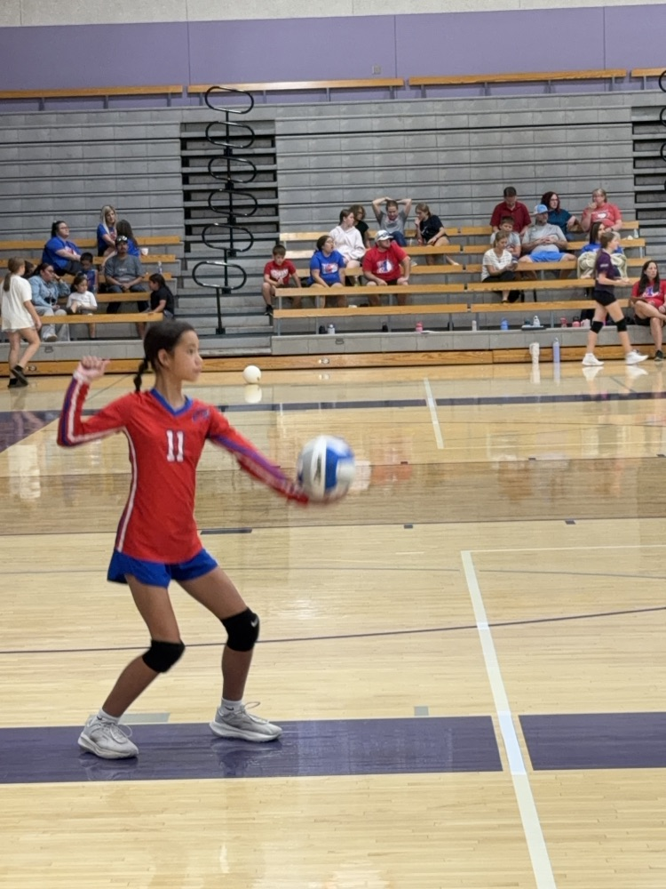 7B vs Royal Valley