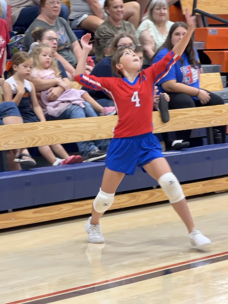 VB