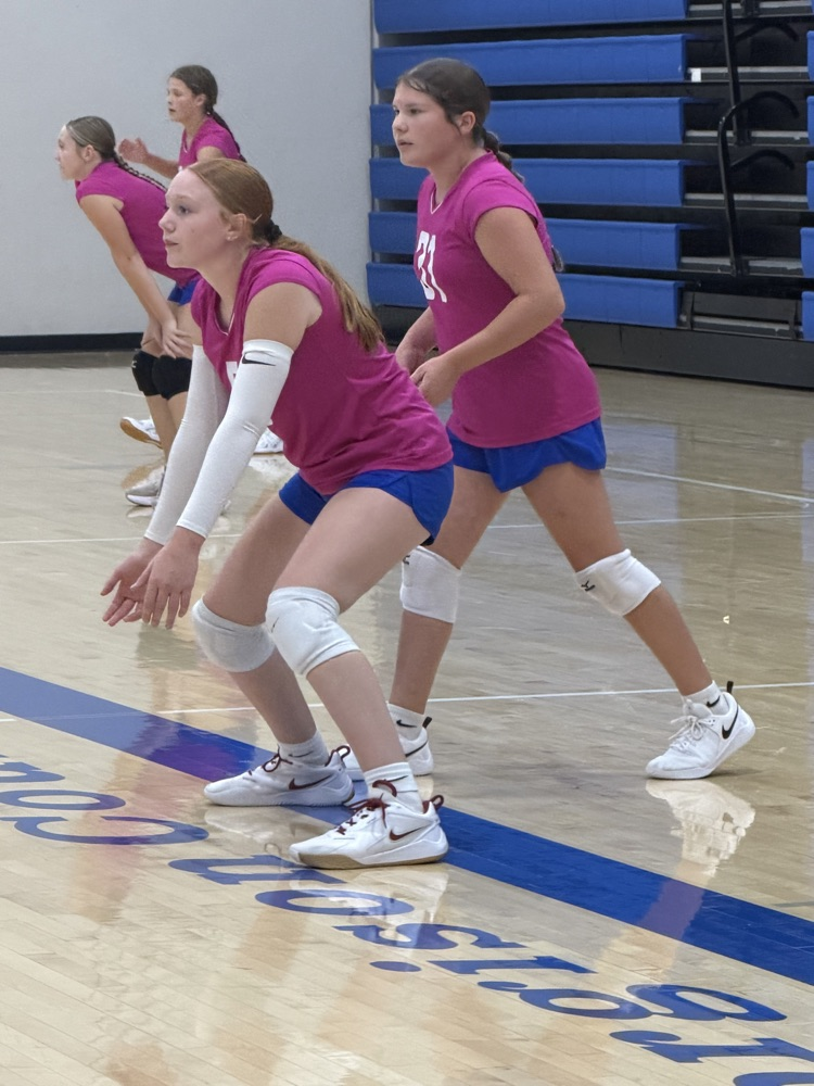 VB