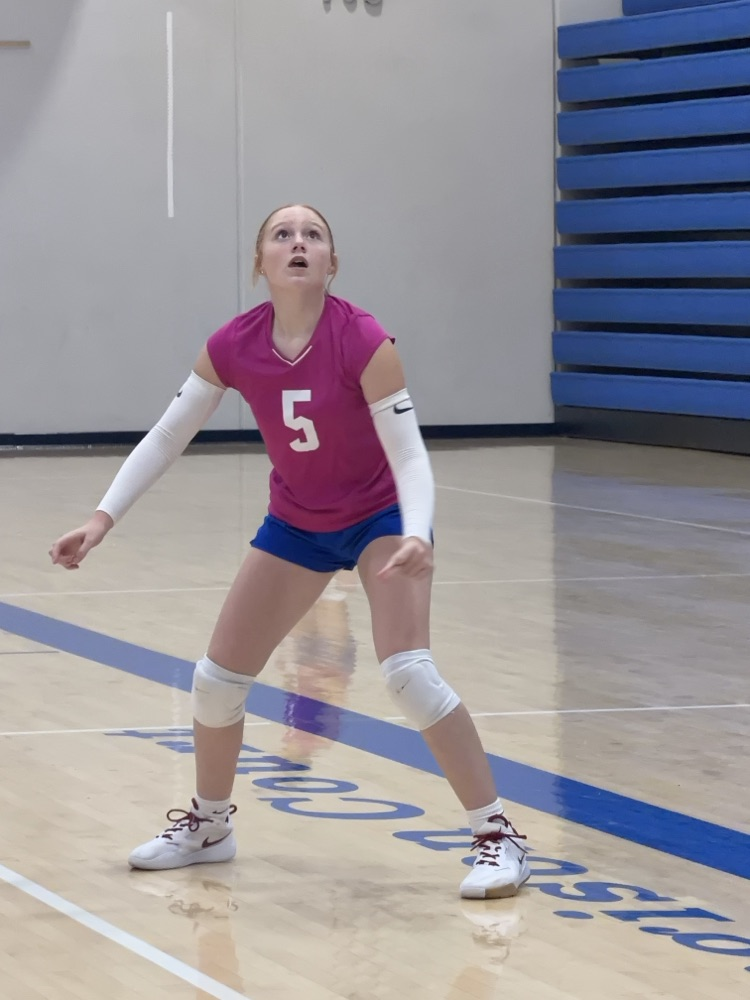 VB