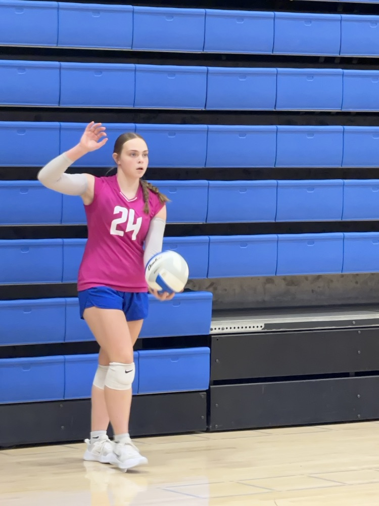 VB