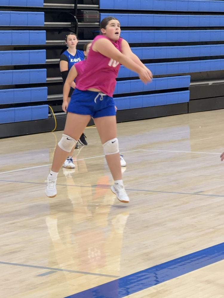VB