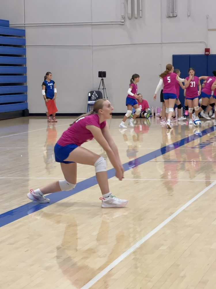 VB