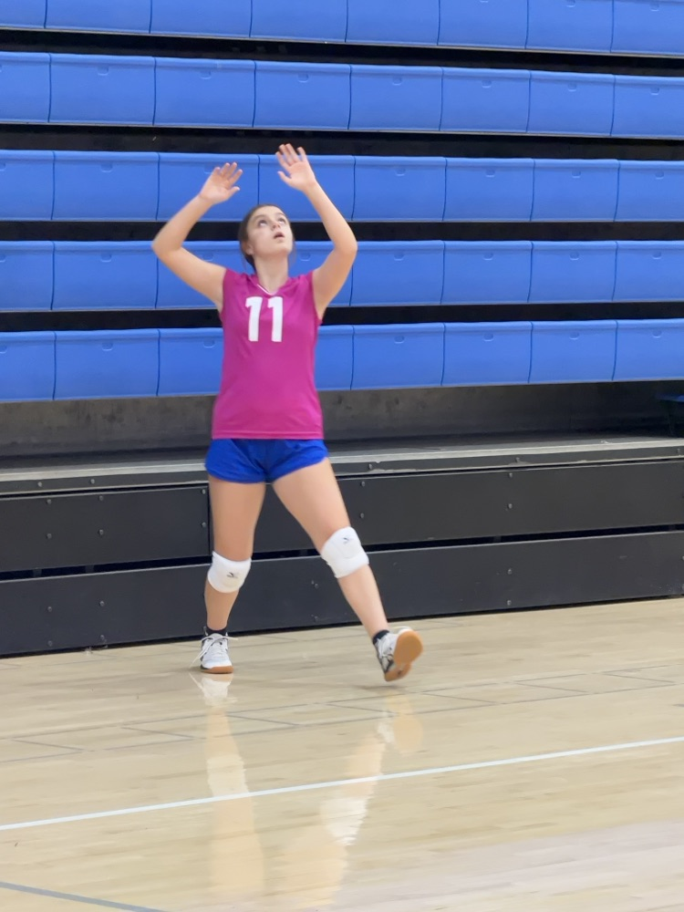 VB