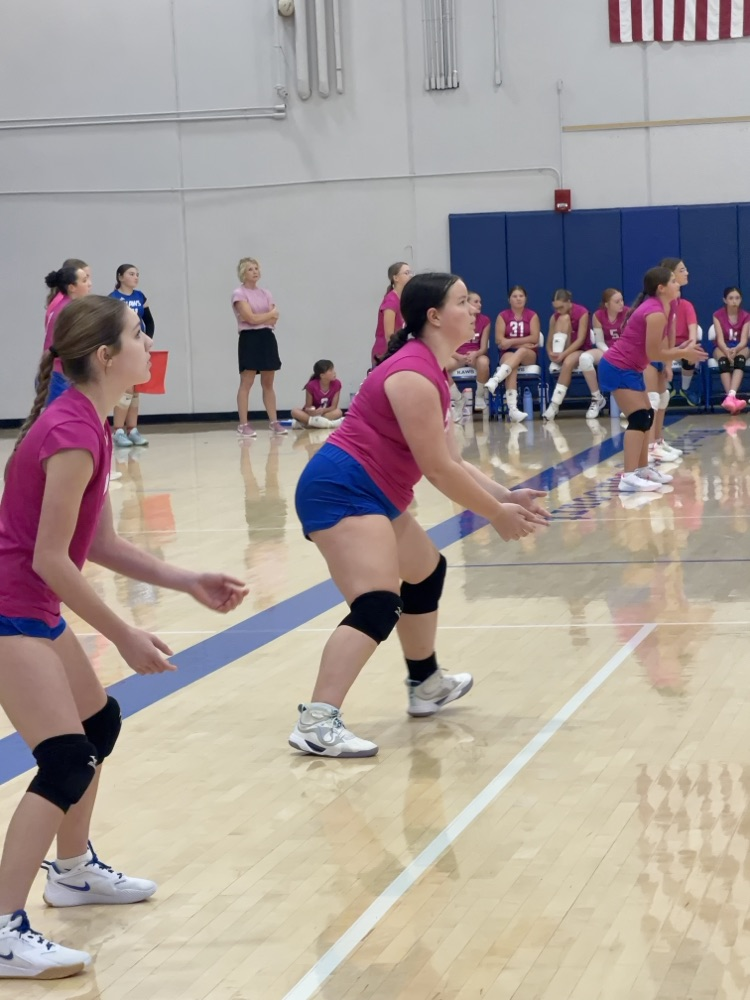 VB