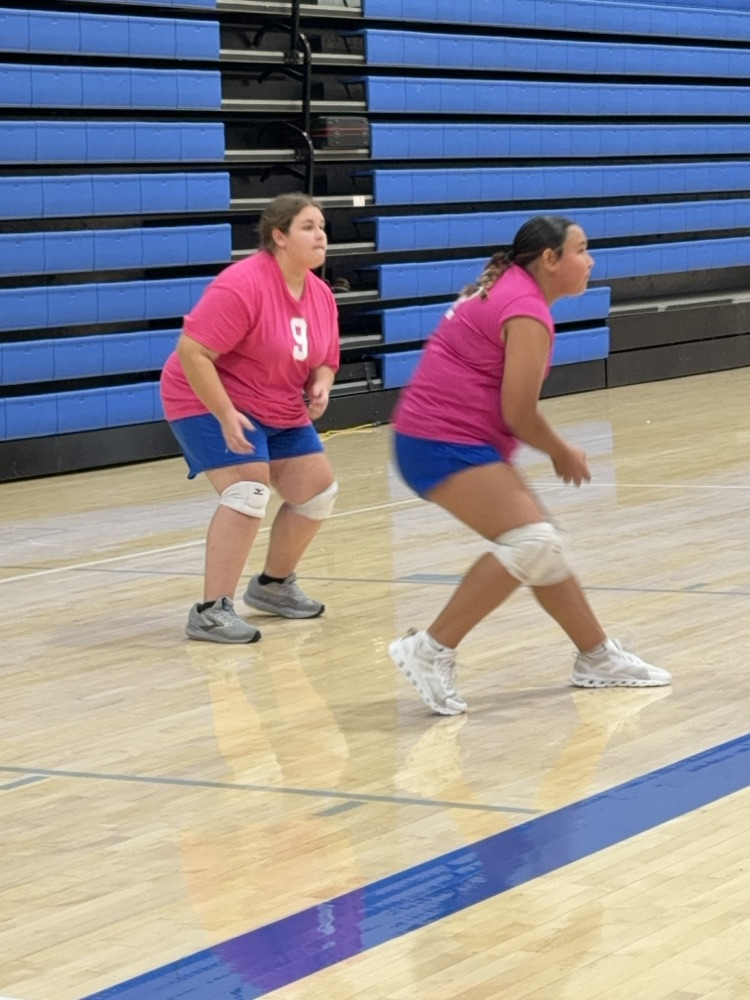 VB