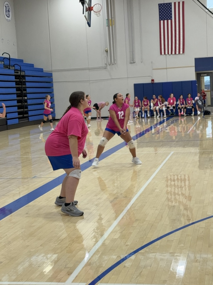 VB
