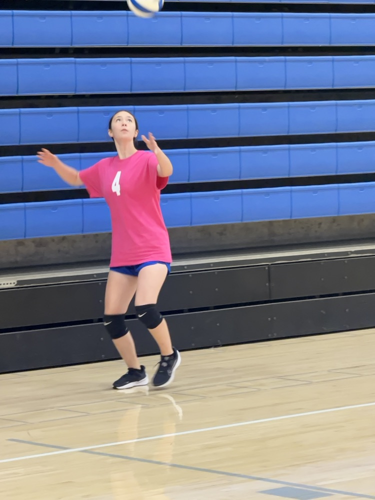 VB