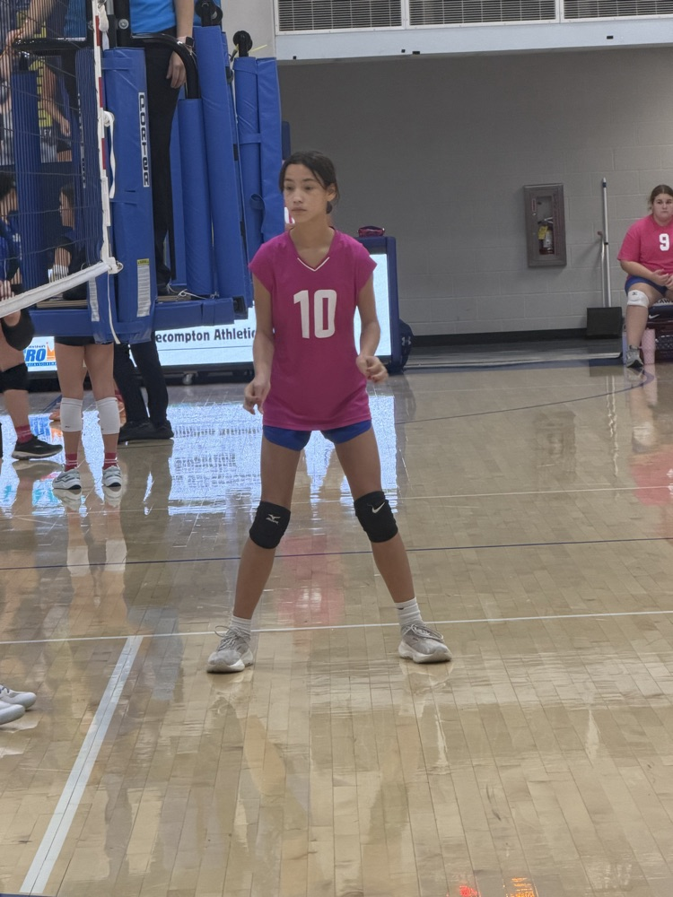 VB