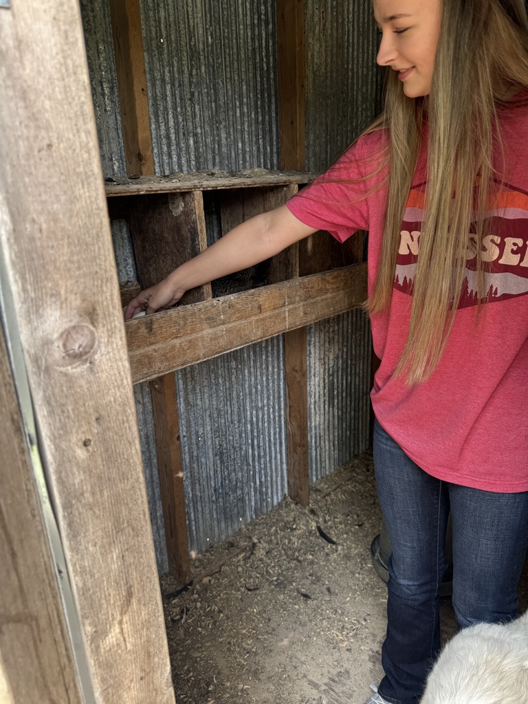 SAE visit