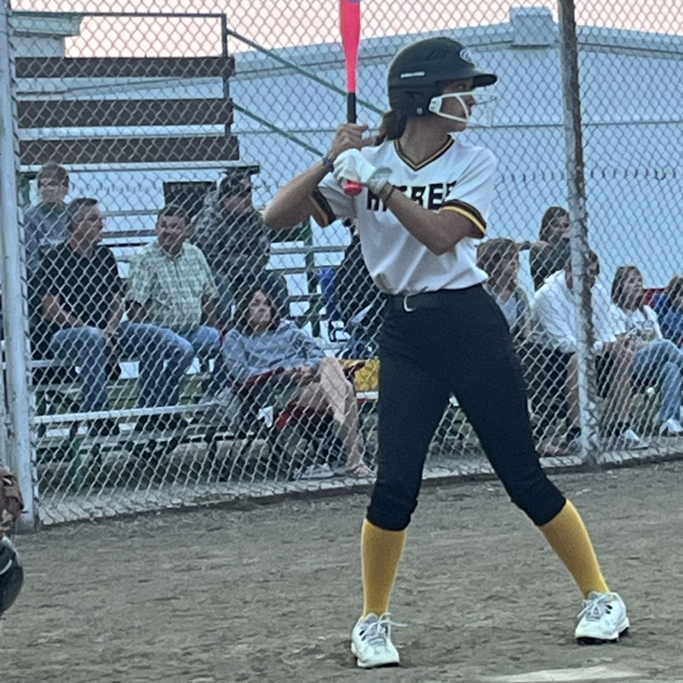 Lady Tigers softball 