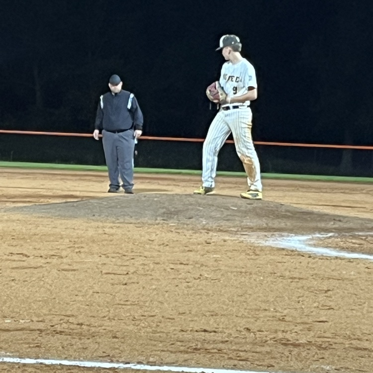Pitching action