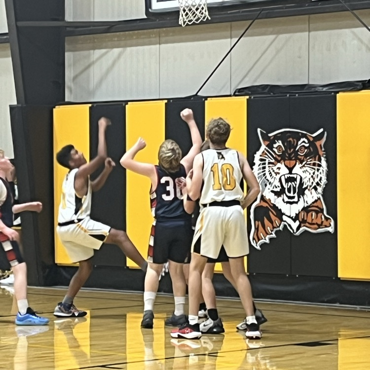 Tigers 