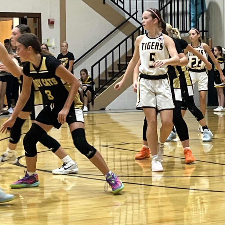 Lady Tigers 