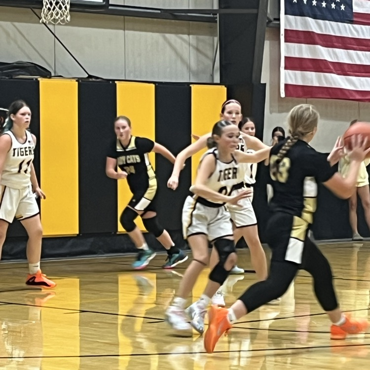 Lady Tigers