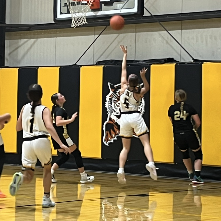 Lady Tigers