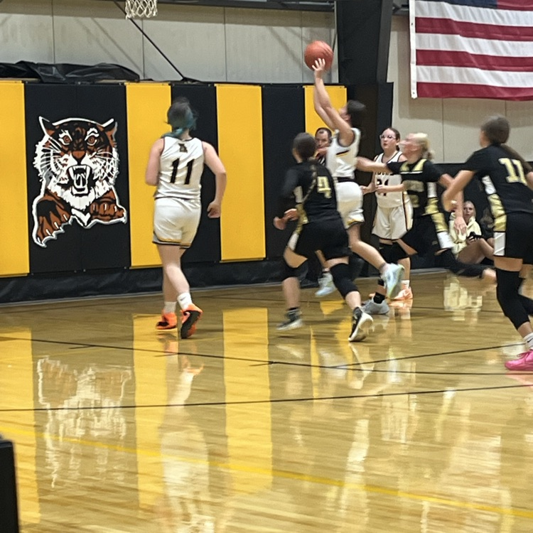 Lady Tigers 