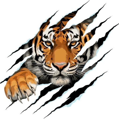 Go Tigers! 