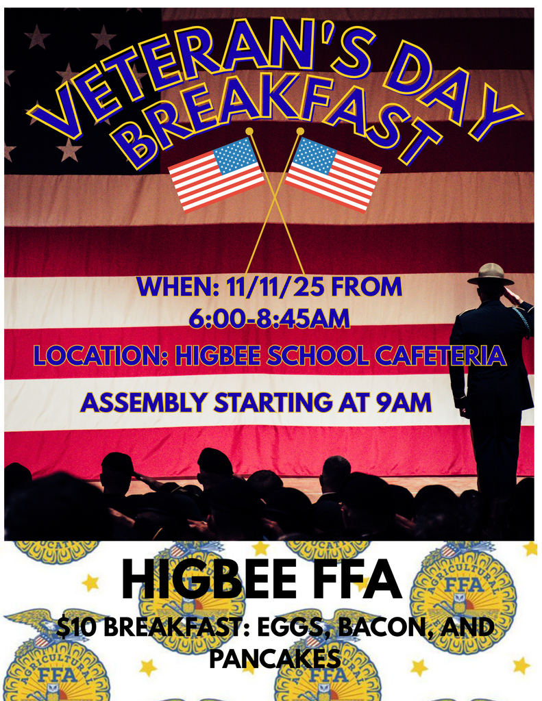 Veteran's Day Flyer