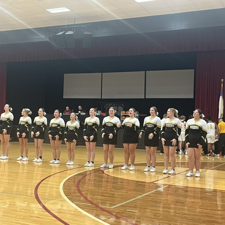 Tigers Cheerleaders