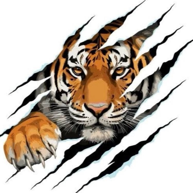 Go Tigers