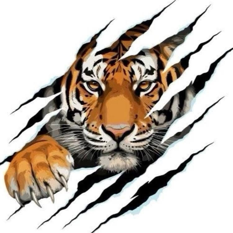 Go Tigers! 