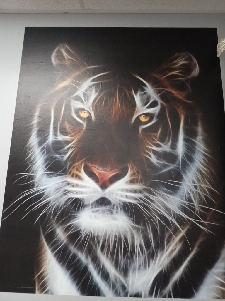 tiger