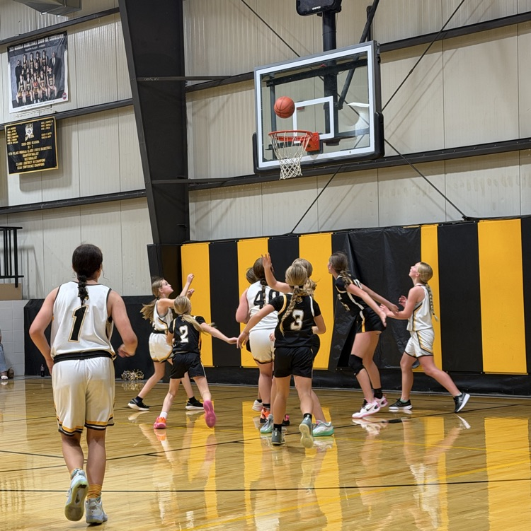 Lady Tigers 