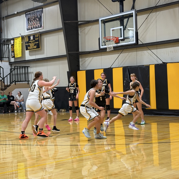 Lady Tigers 