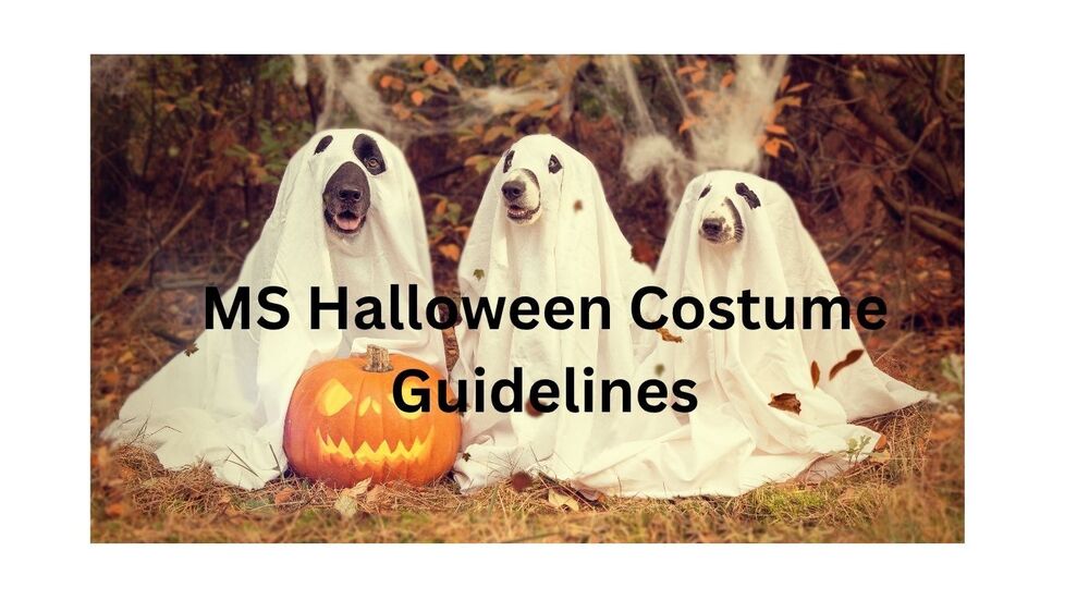 Dogs in Costumes