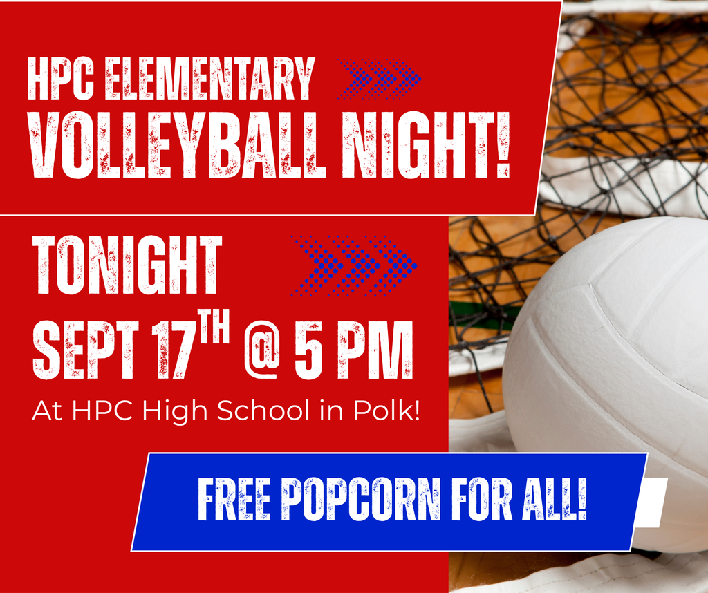 volleyball night