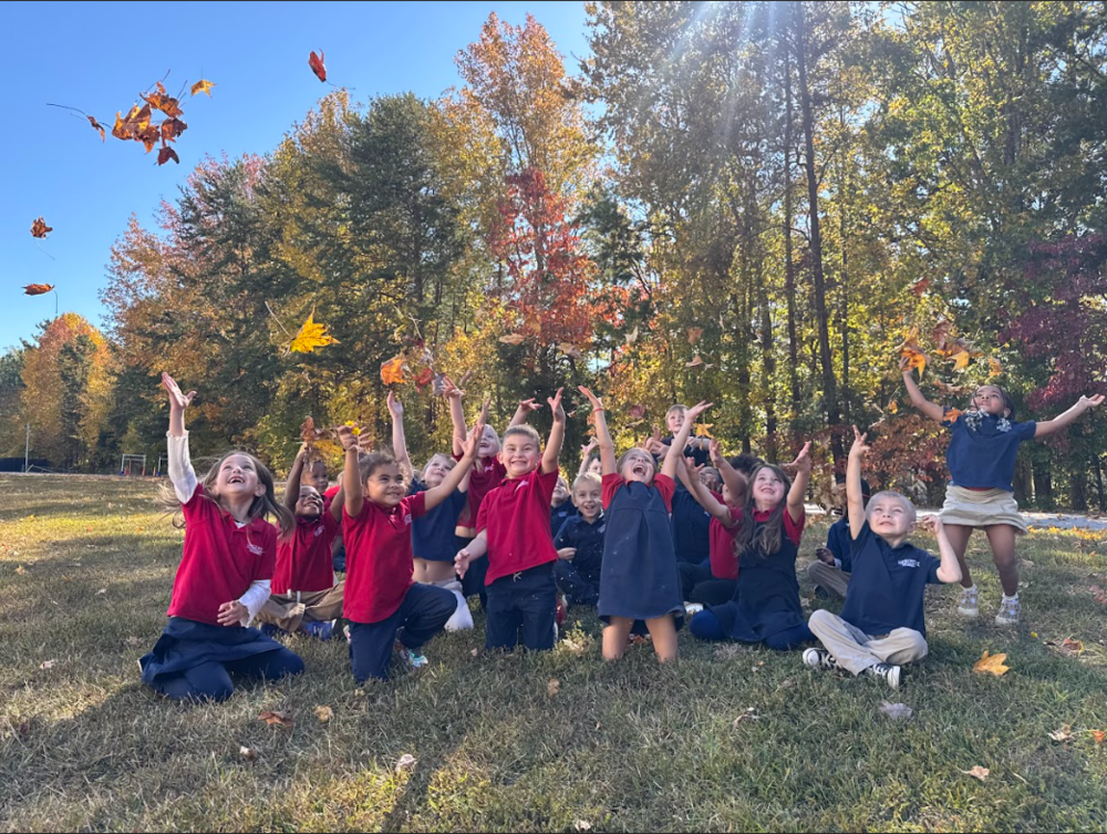 K5 leaf toss