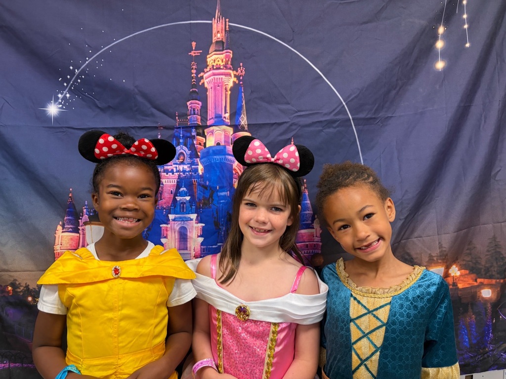 Disney Day HPA